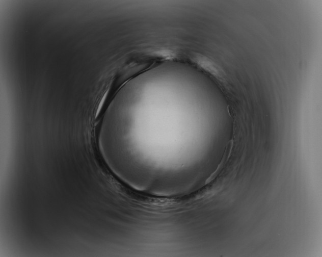 X0000093260720200710101459