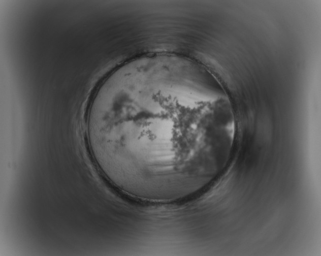 X0000093260721200710101458