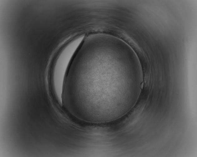 X0000093260722200710101458