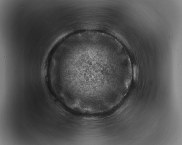 X0000093260723200710101458