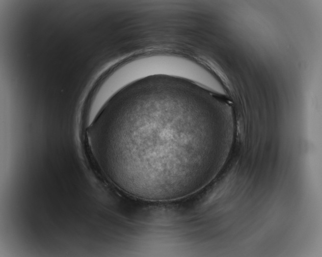 X0000093260724200710101458