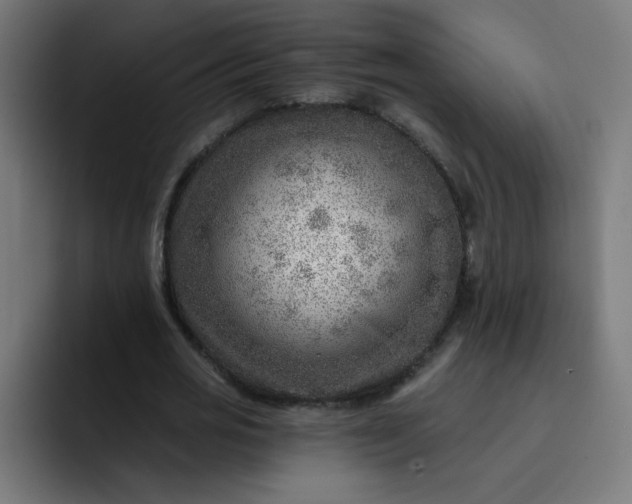 X0000093260725200710101458