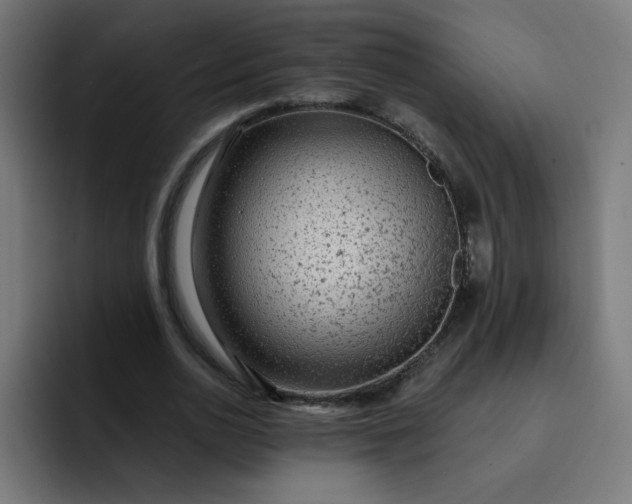 X0000093260726200710101458