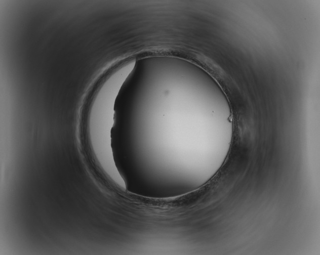 X0000093260728200710101458