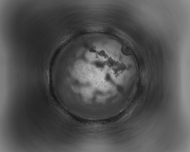 X0000093260729200710101458