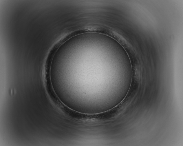 X0000093260730200710101458