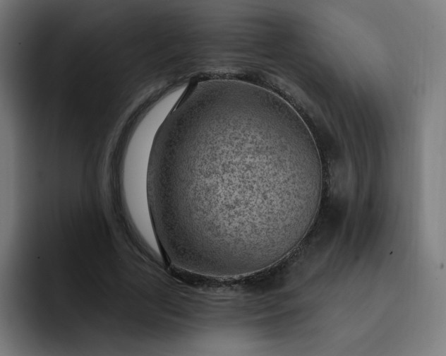 X0000093260731200710101458