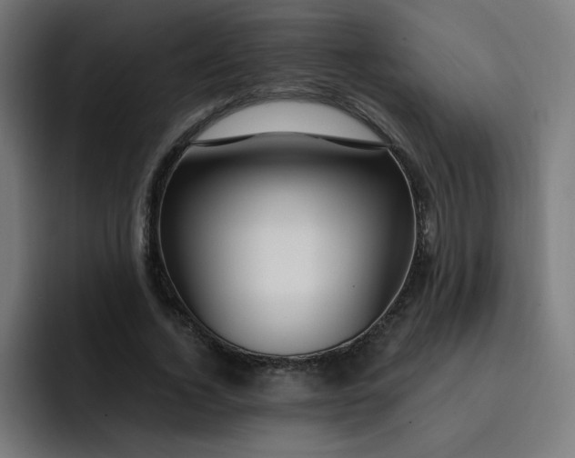 X0000093260732200710101458