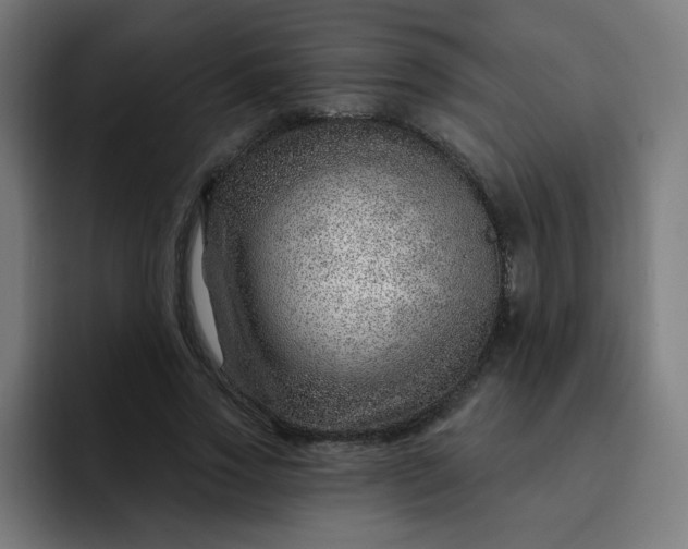 X0000093260733200710101458