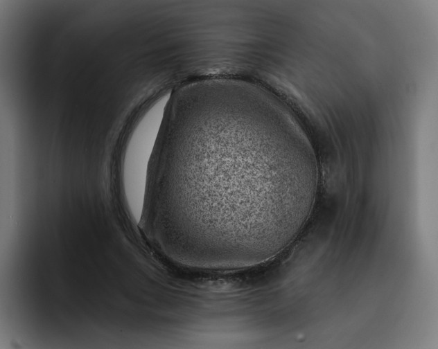 X0000093260735200710101458