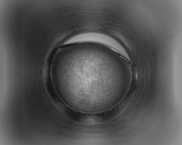 X0000093260736200710101458