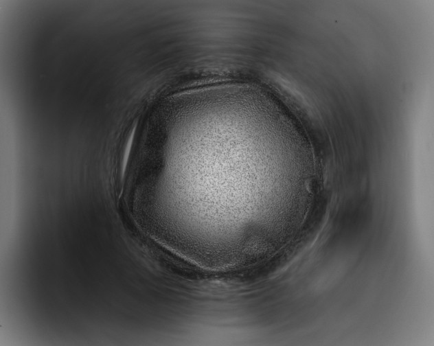 X0000093260737200710101458