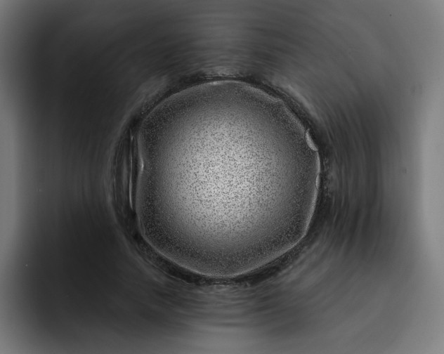 X0000093260738200710101458