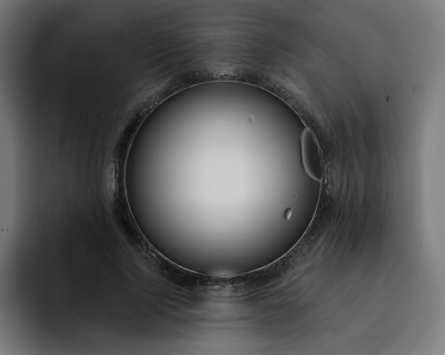 X0000093260740200710101458