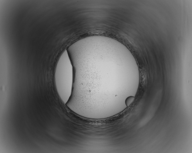 X0000093260745200710101458