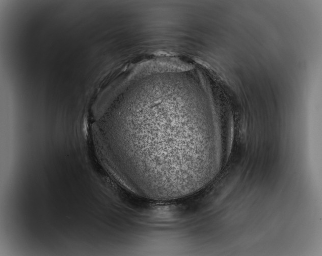 X0000093260746200710101458