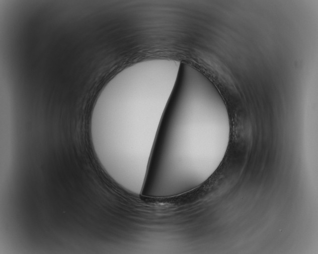 X0000093260748200710101458