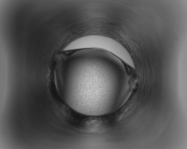 X0000093260750200710101458