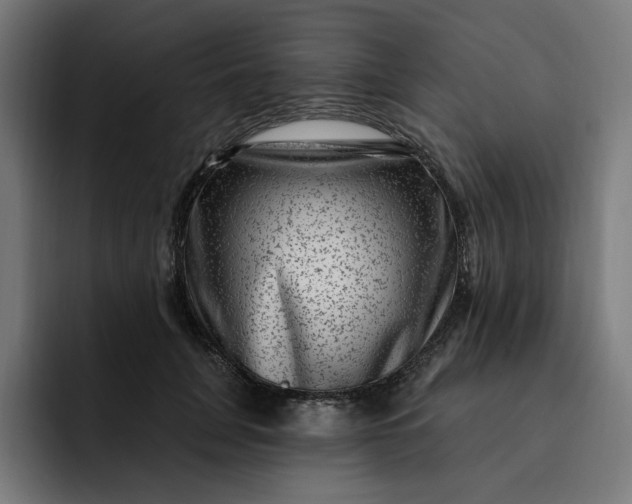 X0000093260751200710101458