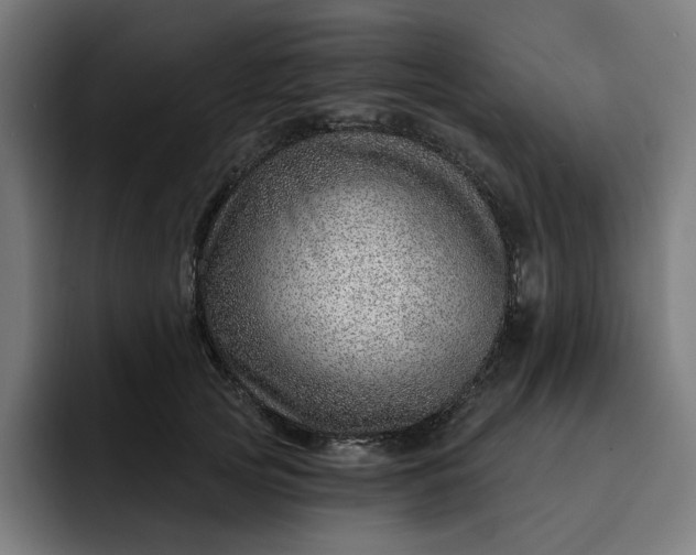 X0000093260753200710101458