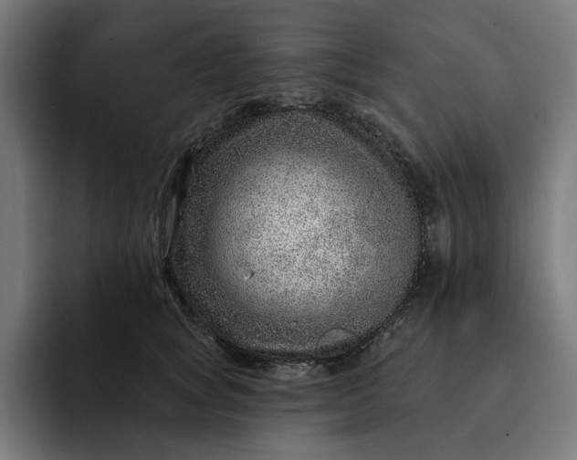 X0000093260757200710101459