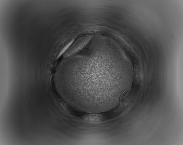 X0000093260758200710101459