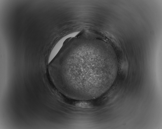 X0000093260759200710101459