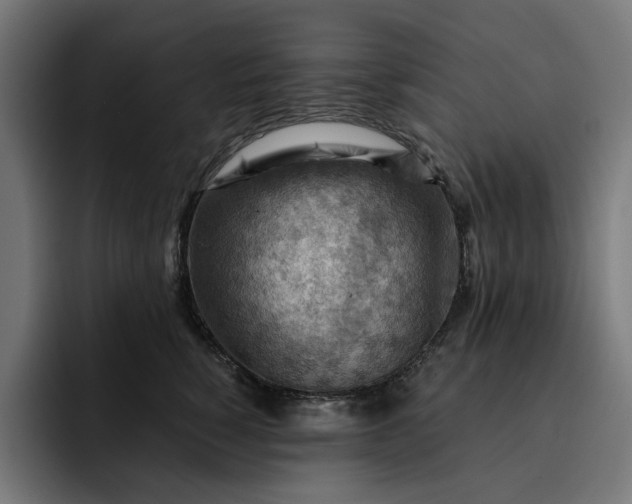 X0000093260760200710101459