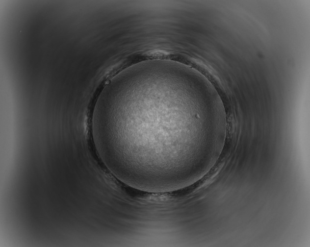 X0000093260762200710101459