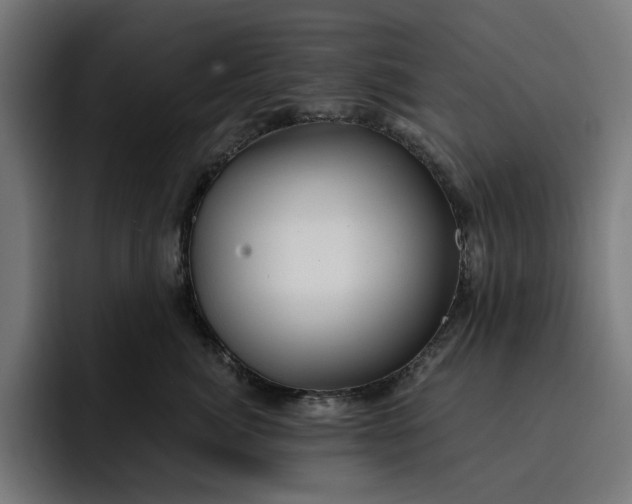 X0000093260764200710101459