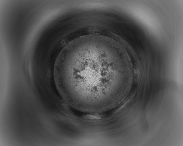 X0000093260765200710101459