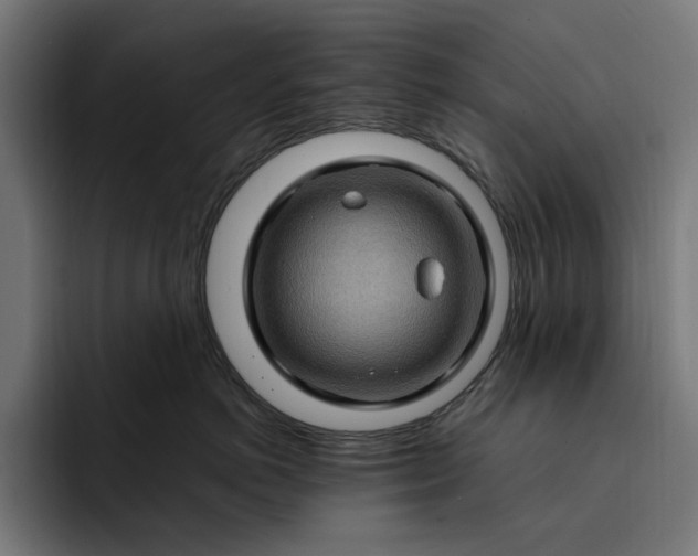 X0000093260766200710101459