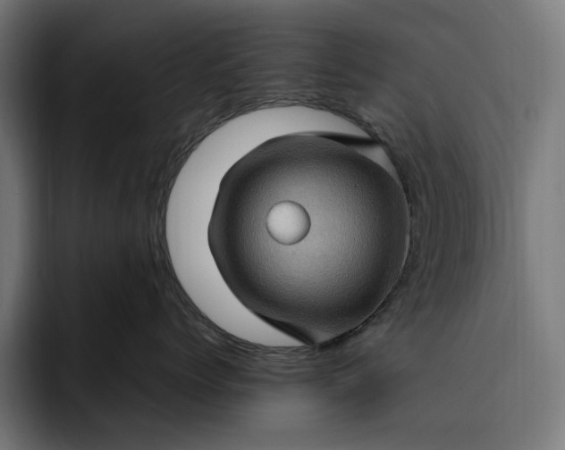 X0000093260768200710101459