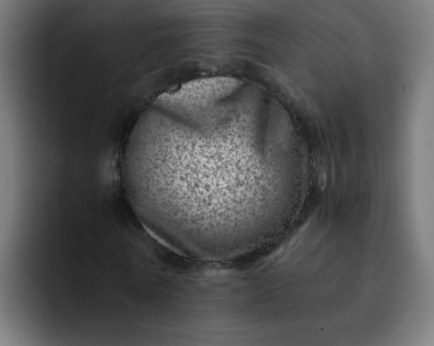 X0000093260770200710101458