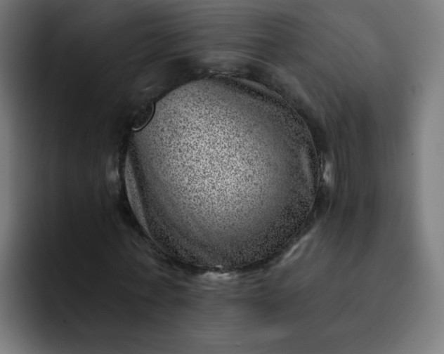 X0000093260771200710101458