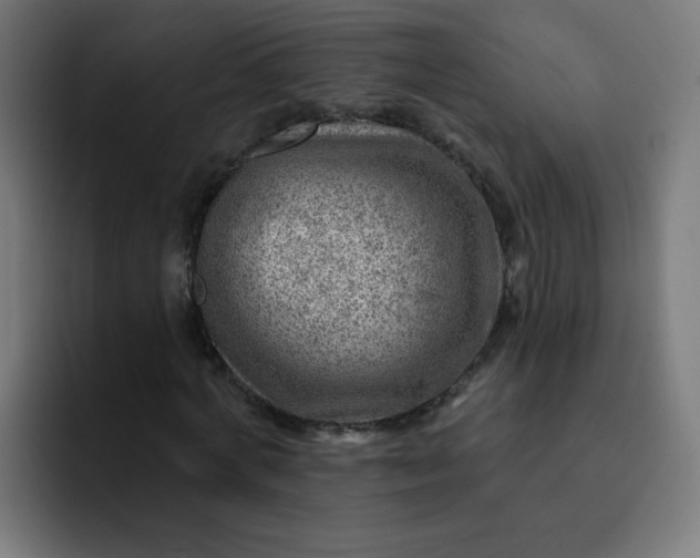 X0000093260772200710101458