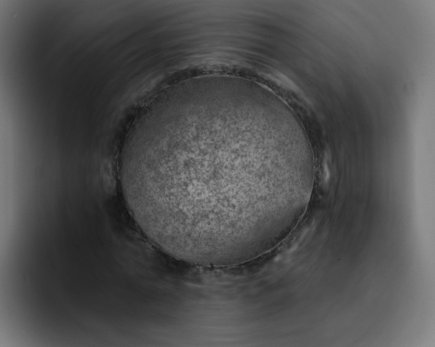 X0000093260774200710101458