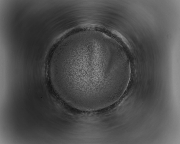 X0000093260775200710101458