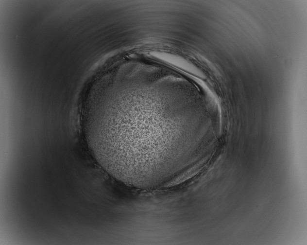 X0000093260776200710101458