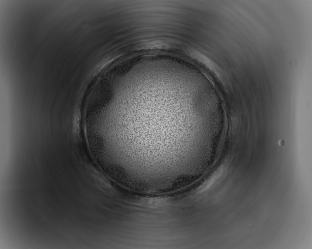 X0000093260778200710101458