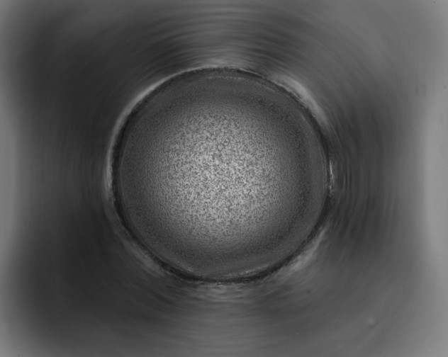 X0000093260780200710101458