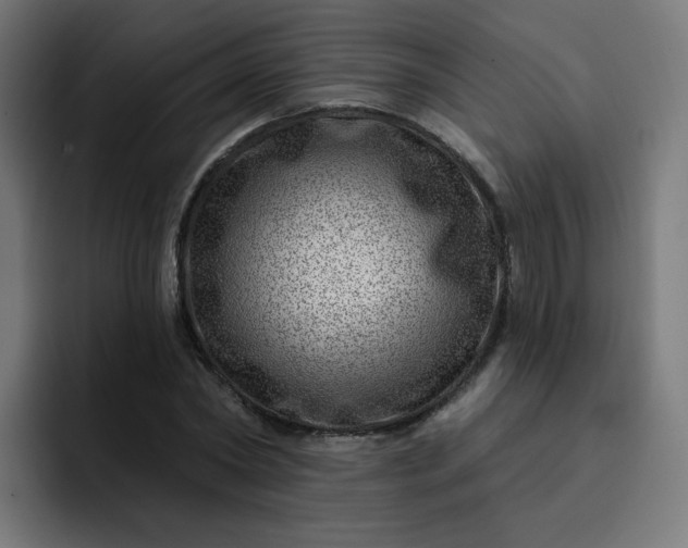 X0000093260782200710101458