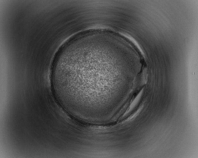 X0000093260783200710101458