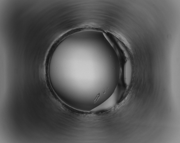 X0000093260784200710101458