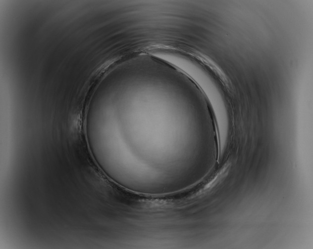 X0000093260785200710101458