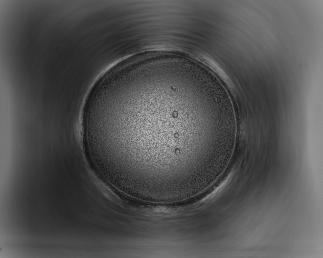 X0000093260787200710101458