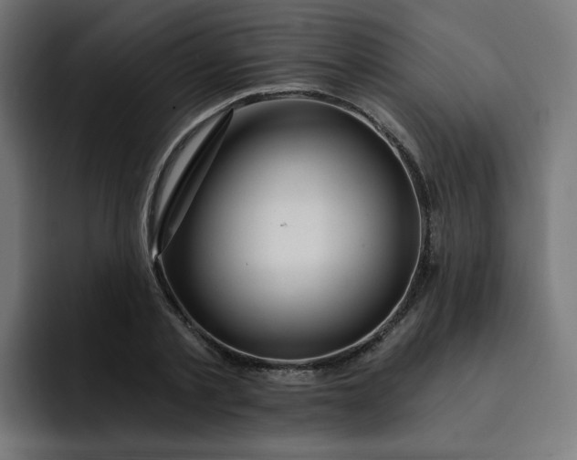 X0000093260789200710101458