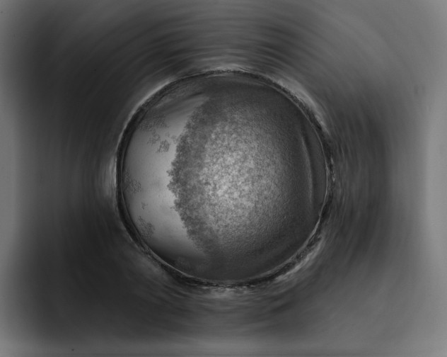 X0000093260790200710101458