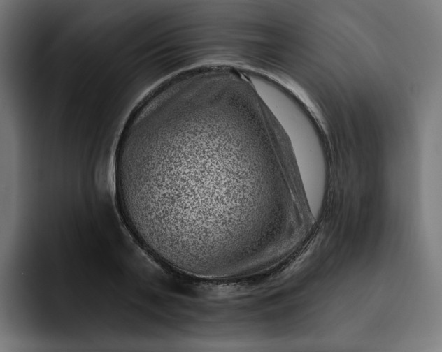 X0000093260791200710101458