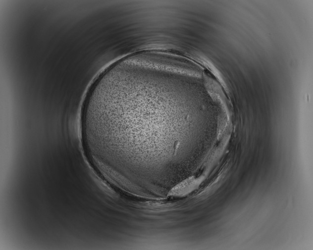 X0000093260795200710101458